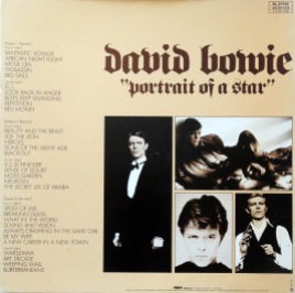 David Bowie Portrait d